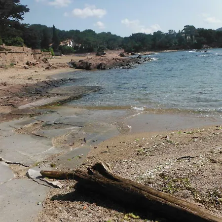 Camping Elephant Titania * Saint-Raphael (Var)